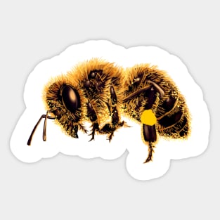 Honeycore - flying bee Sticker